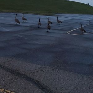 Meet your Posher, Maria t